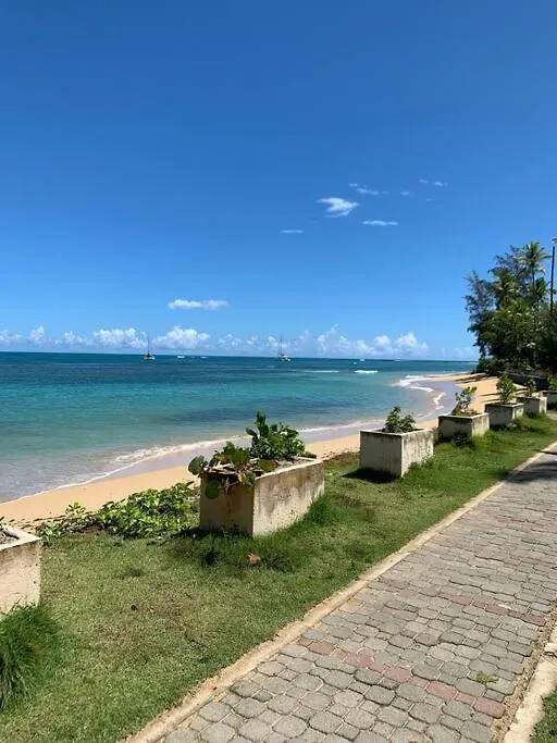 Excelente Apartamento En Las Terrenas, Playa Punta Popi. 公寓